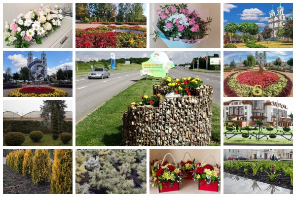 Гроднозеленстрой